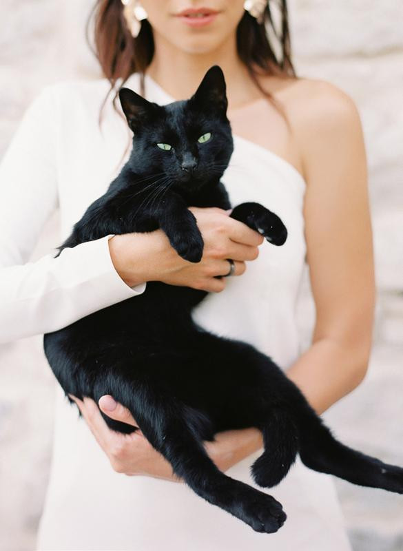 Солнечная свадьба в Черногории