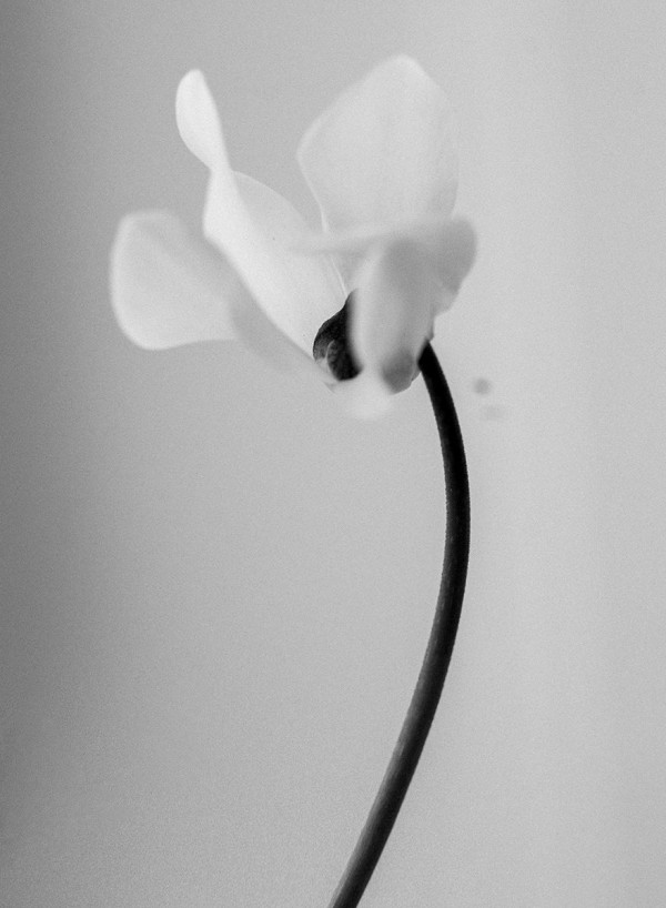 Съемка платьев Татьяны Кочновой в отеле Belmond