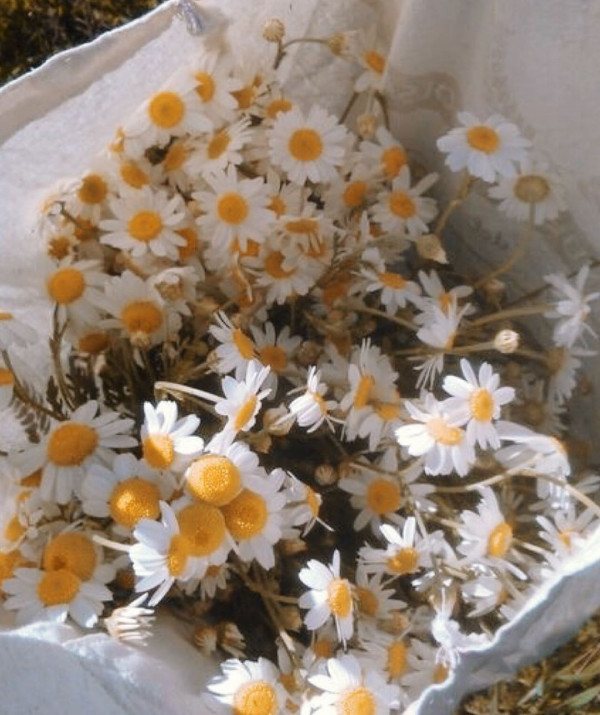 Легкие платья-туники для свадьбы в стиле бохо