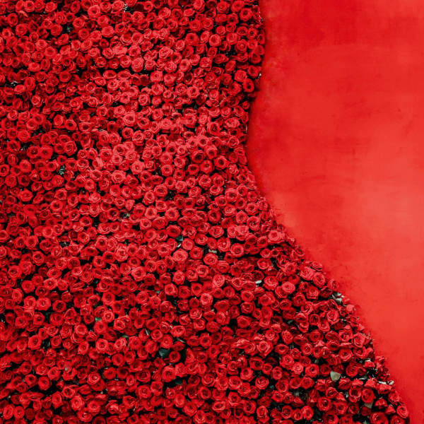 Декораторы Sasha Lenkey Studio