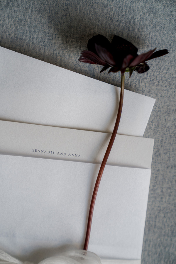 Фотографы Алена Плакс