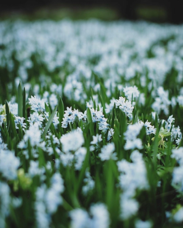 7 стильных локаций для свадебной фотосессии в