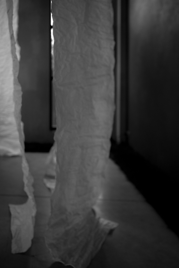 Декораторы PAVLÍNA design