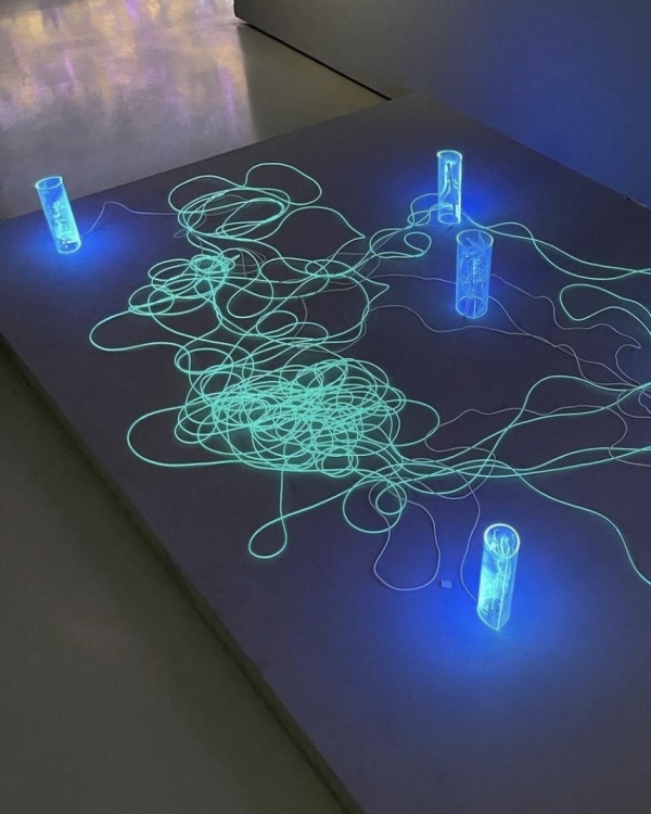 Куда сходить на свидание: 5 выставок Москвы