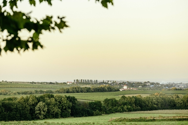 Площадки Долина Лефкадия
