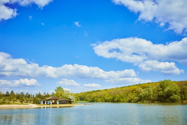 Площадки Долина Лефкадия