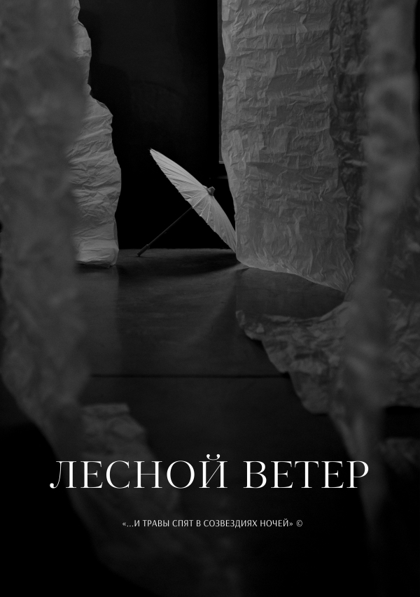 Декораторы PAVLÍNA design