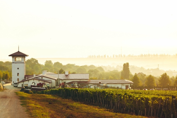 Площадки Долина Лефкадия