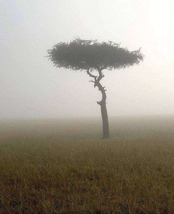 Я испытываю тревогу. Что делать?