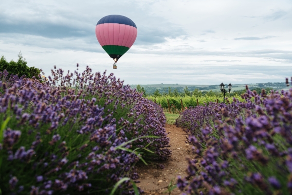 Площадки Долина Лефкадия