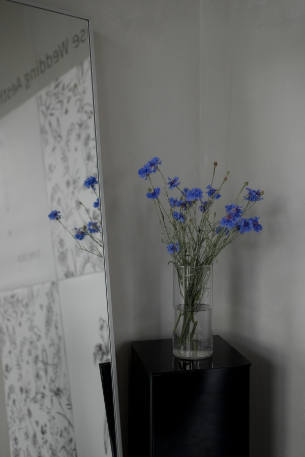 Декораторы PAVLÍNA design