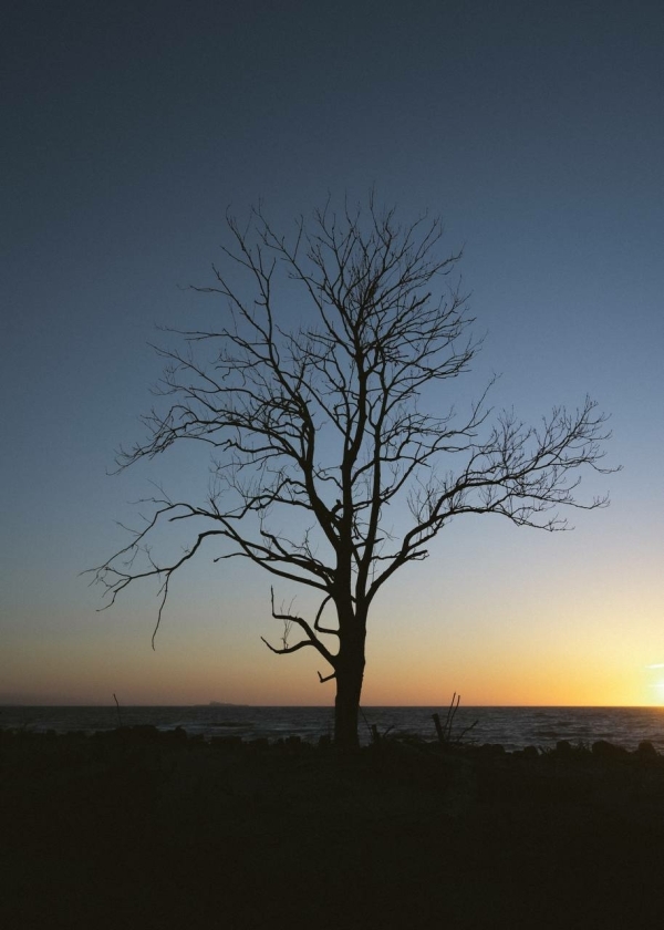 Почему вам нужно ехать в Калининград за