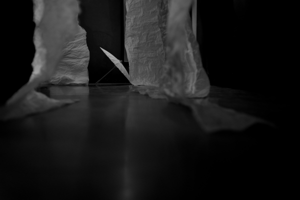 Декораторы PAVLÍNA design