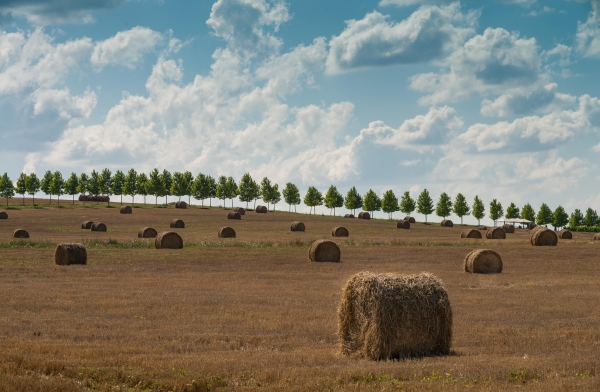 Площадки Долина Лефкадия