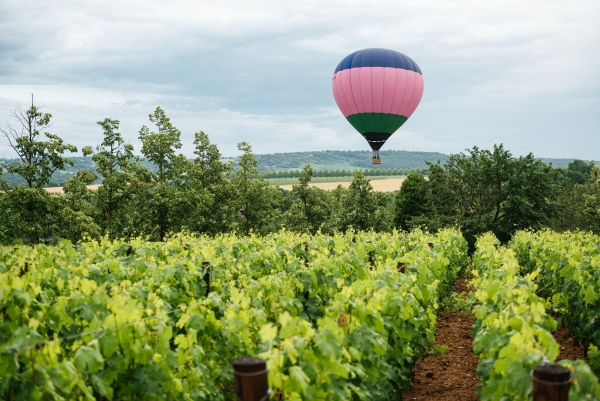 Площадки Долина Лефкадия