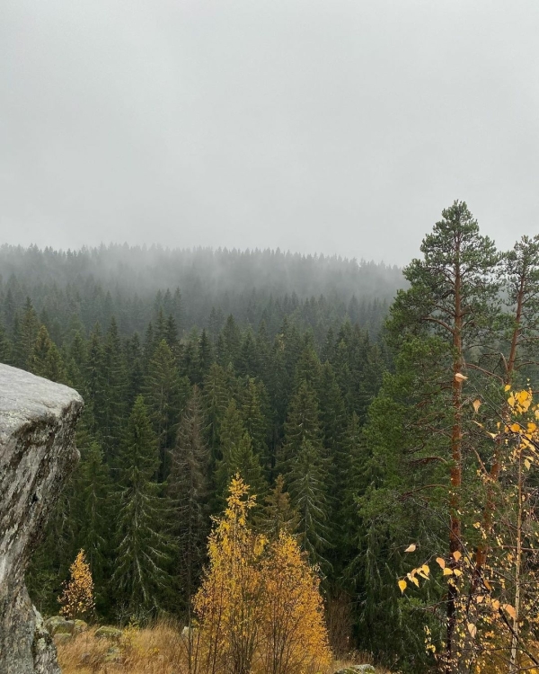 Куда поехать в России на трехдневный уикенд