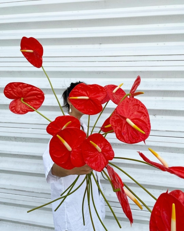 Этапы в отношениях, через которые должна пройти