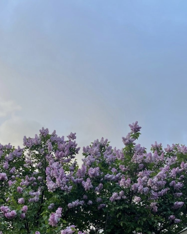 Как провести длинные майские выходные в Москве?