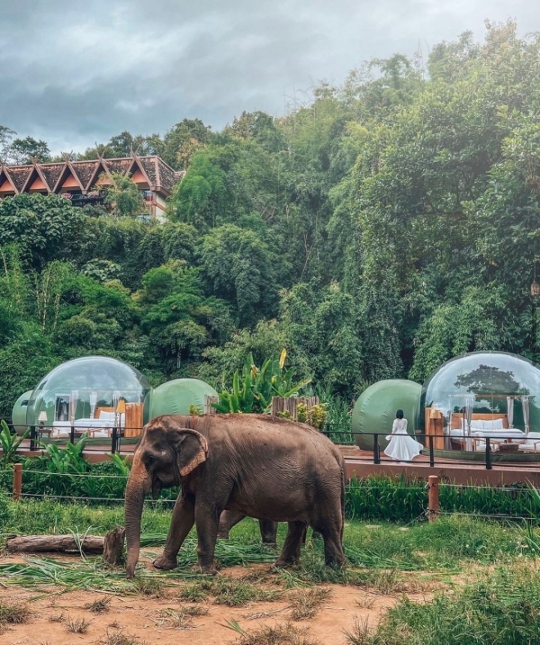 Самые необычные отели мира для запоминающегося медового