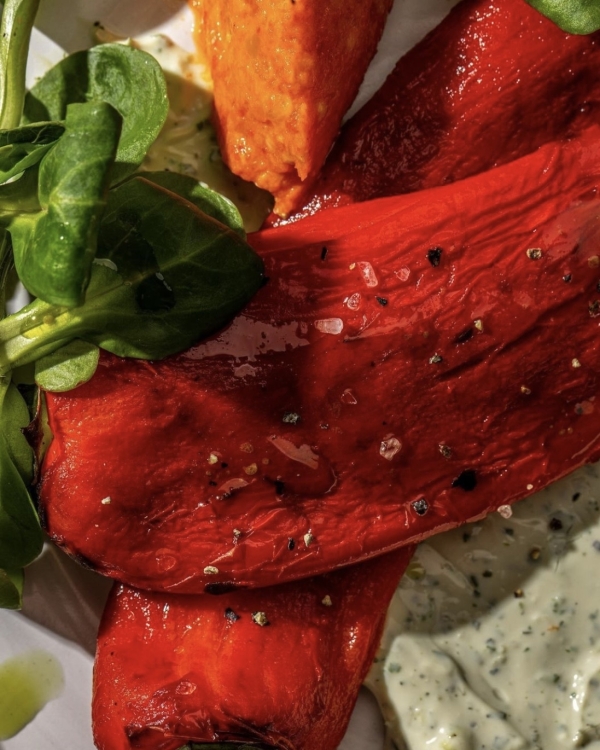 Васнецовы 2.0 в Новой Третьяковке, открытие летнего