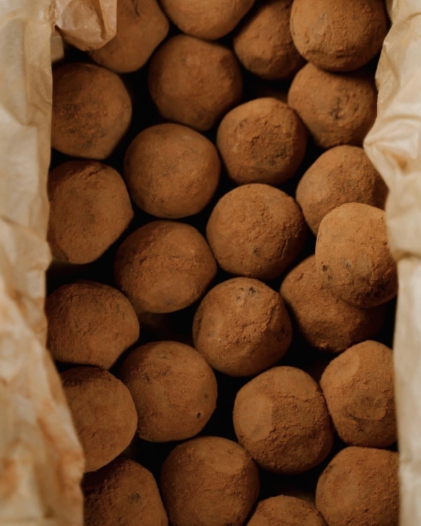 Васнецовы 2.0 в Новой Третьяковке, открытие летнего