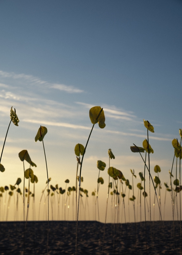 Декораторы Татьяна Бугаева