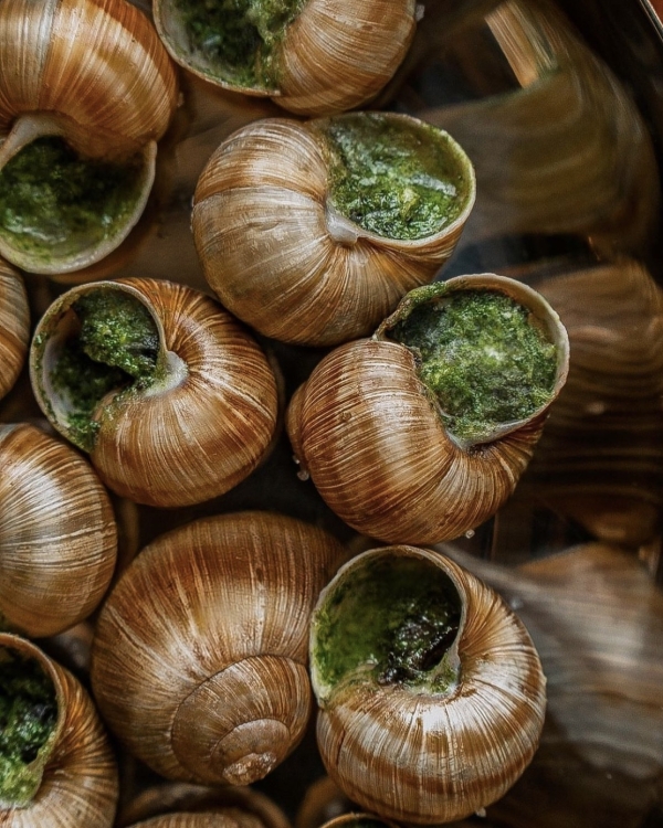 Открытие МАММ, зарисовки с натуры с Your