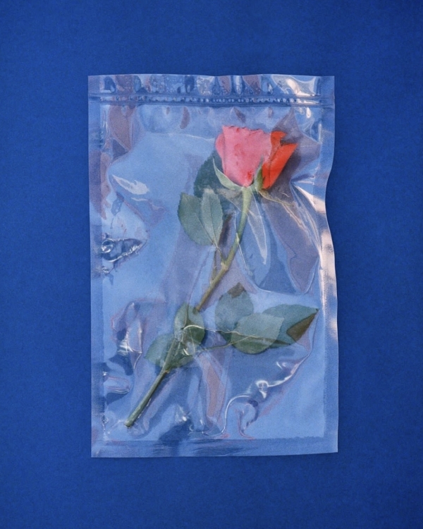 Как вежливо попросить гостей не дарить цветы