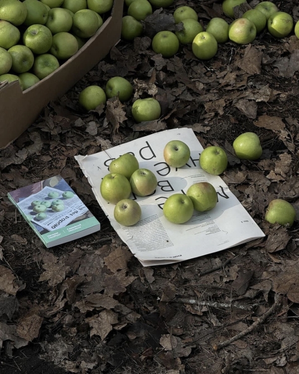 Как вежливо попросить гостей не дарить цветы