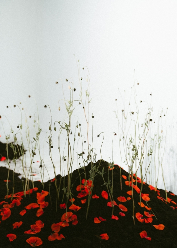 Декораторы Татьяна Бугаева