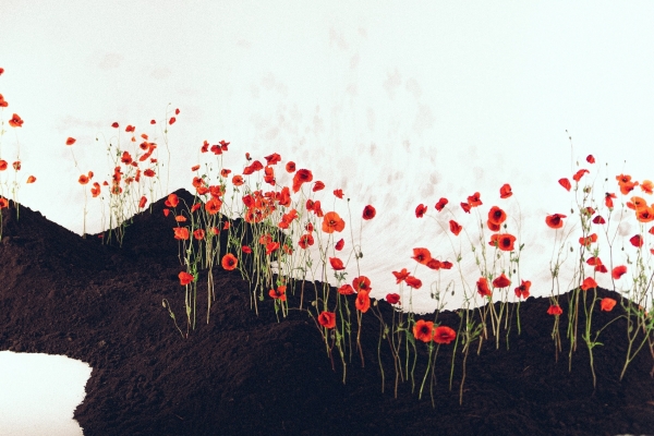 Декораторы Татьяна Бугаева