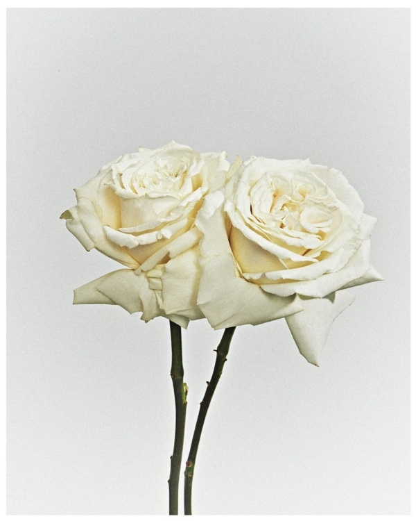 Как небанально отпраздновать роспись?