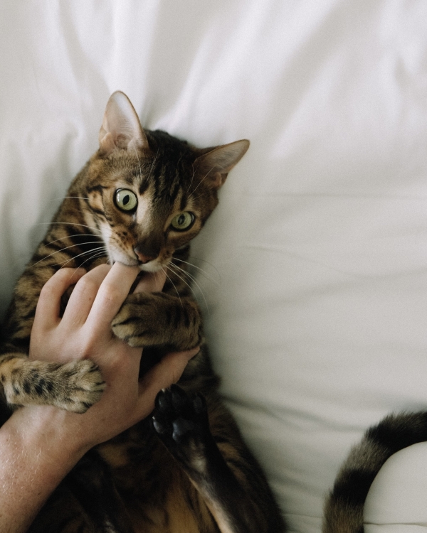 Интервью с невестой: о намеках на кольцо,