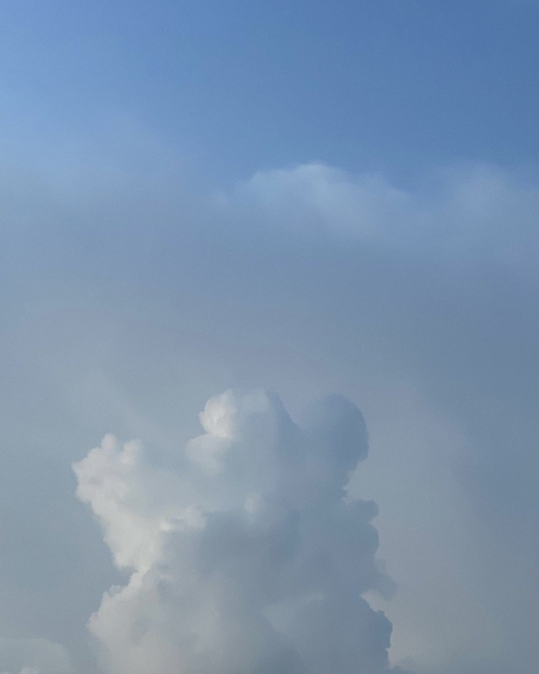 Скучно не будет: подборка отпускной литературы на