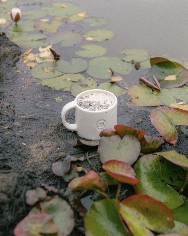 Друзьям на заметку: идеи стильных подарков на