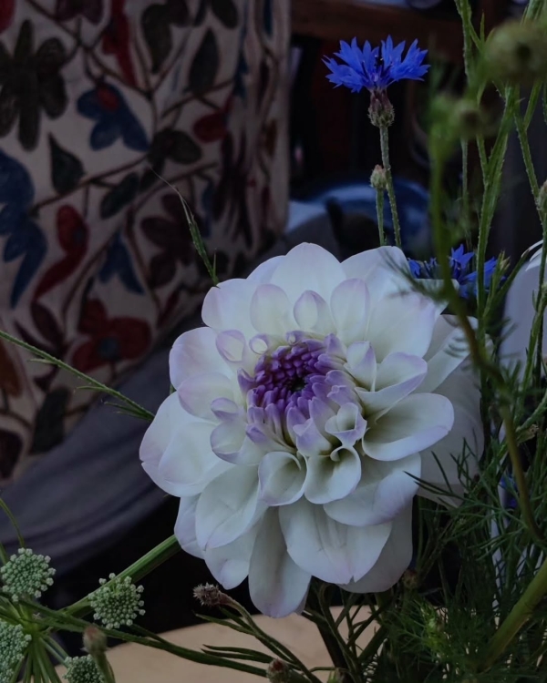 Окрошка с хрустальной травой в 0,75 please,