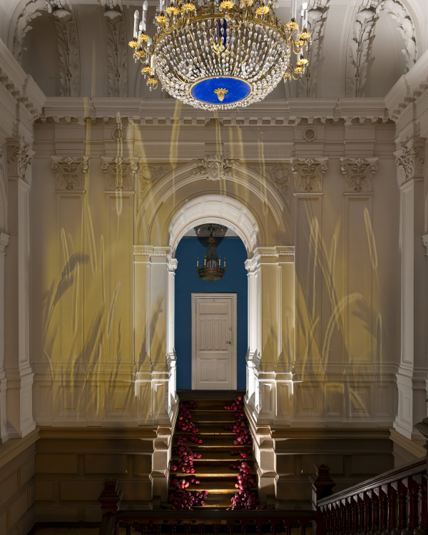 Площадки Особняк «Леман»