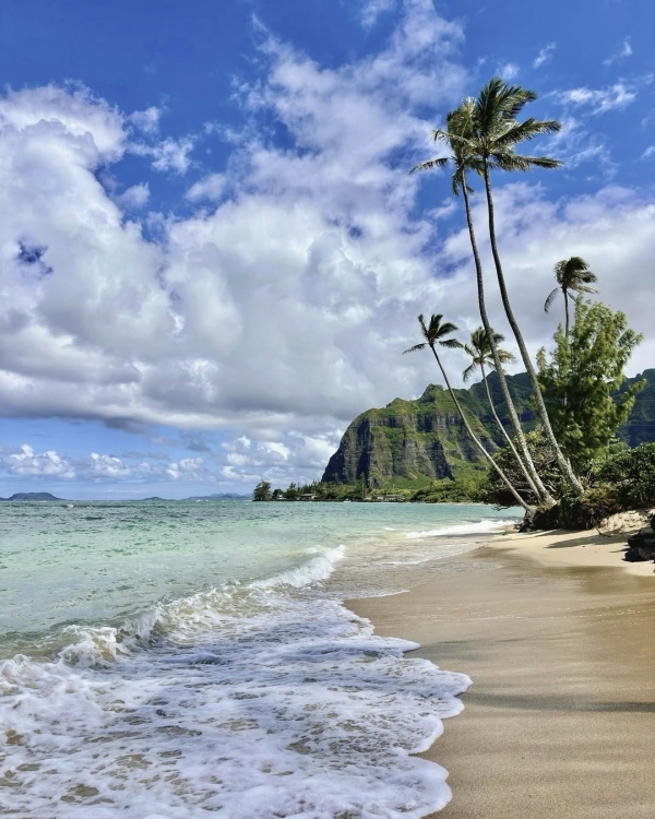 Рейтинг Pinterest: cамые модные направления для медового