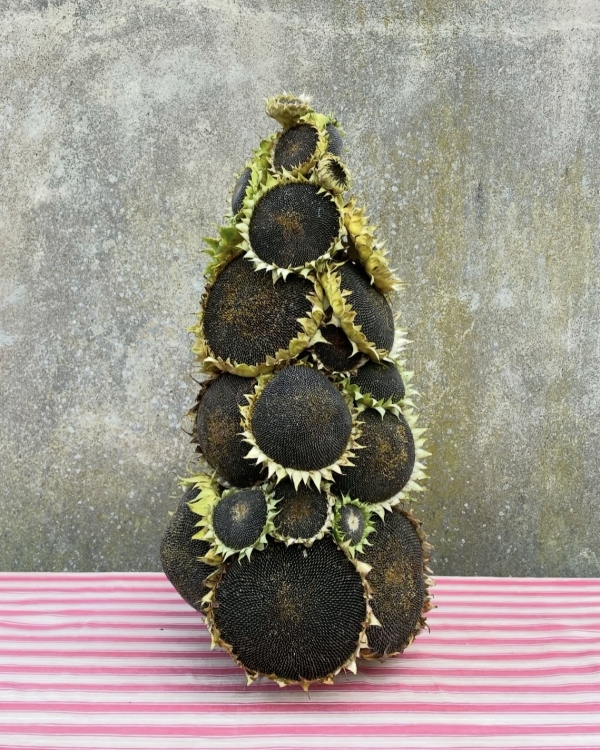 Как оформить свадьбу в эстетике Garden Wedding?