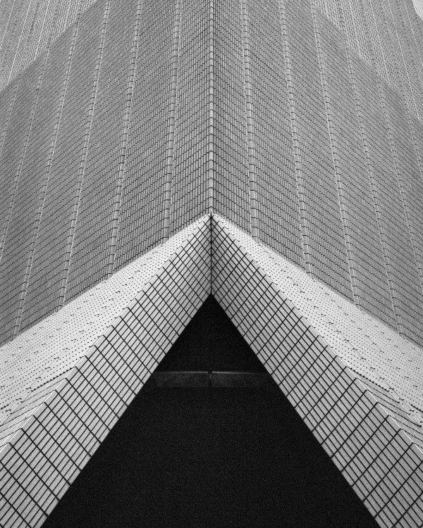 «Подвиг музея» в Пушкинском, ризотто-сморчетто в «Скворце»