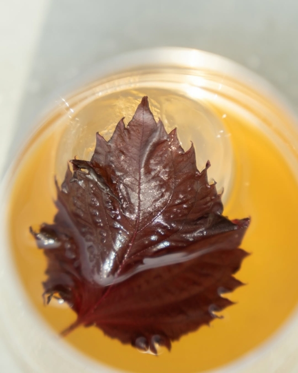 Виниловый маркет в Found, открытие летнего двора