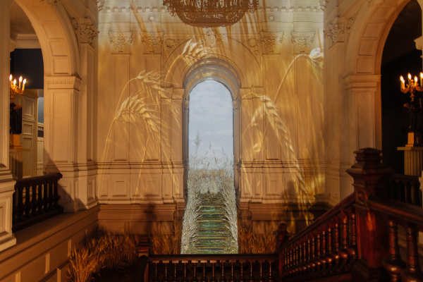 Площадки Особняк «Леман»