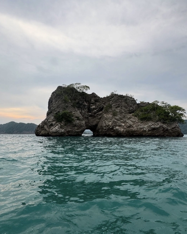 Рейтинг Pinterest: cамые модные направления для медового