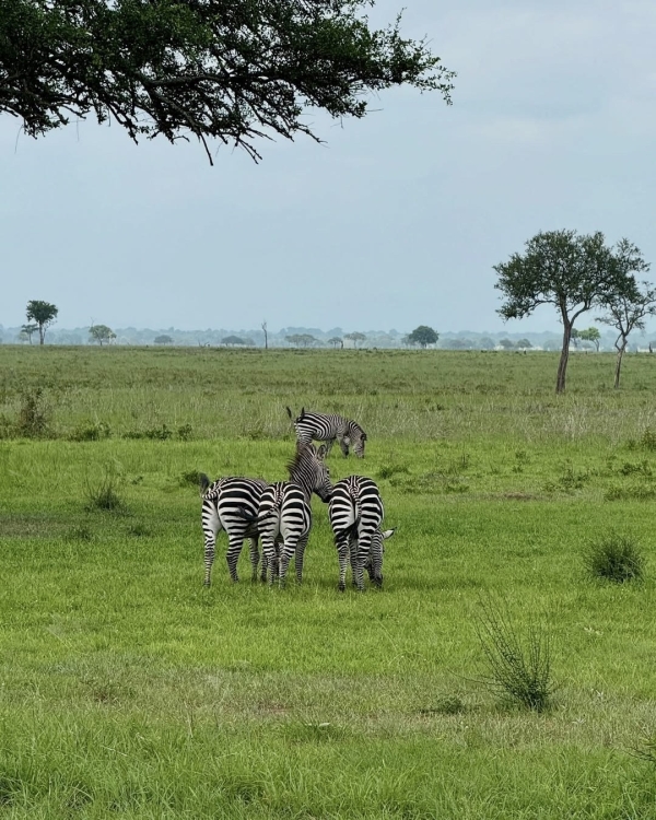Рейтинг Pinterest: cамые модные направления для медового