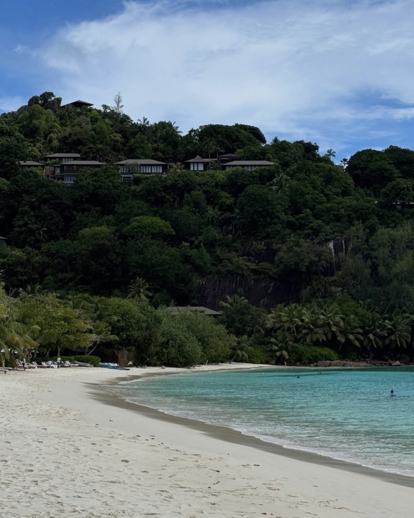 Рейтинг Pinterest: cамые модные направления для медового