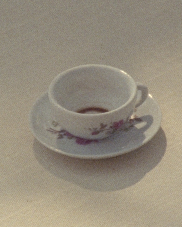 Как оформить свадьбу в эстетике Garden Wedding?