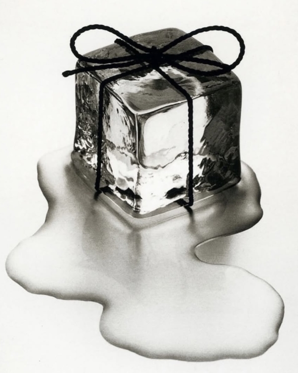 Как оформить свадьбу в эстетике Garden Wedding?