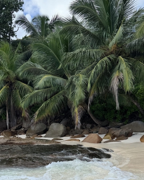 Рейтинг Pinterest: cамые модные направления для медового