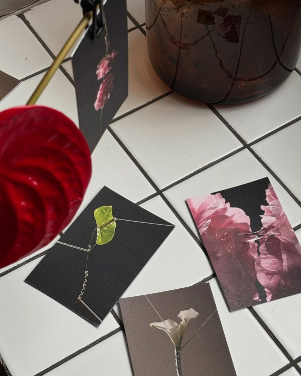 Где покупать цветы в Санкт-Петербурге?