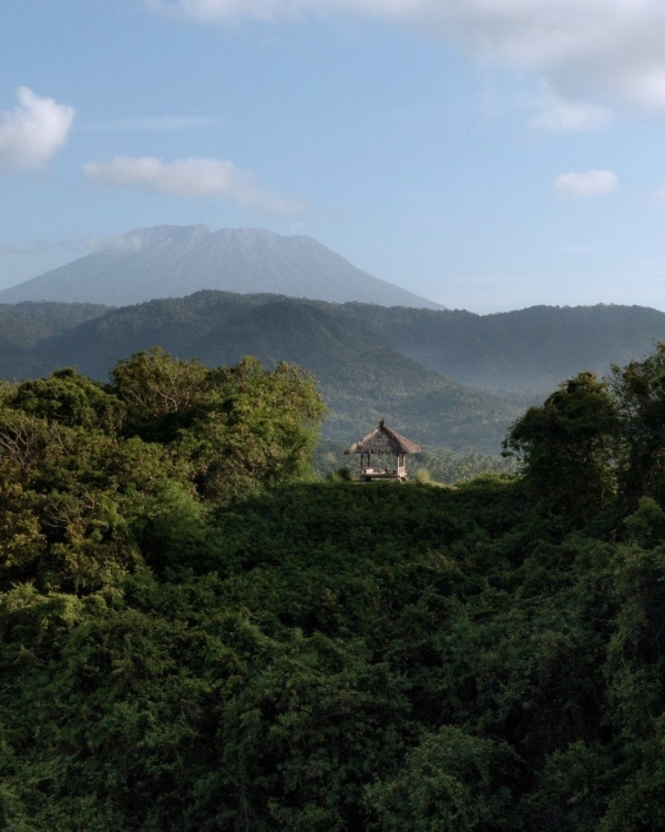 Рейтинг Pinterest: cамые модные направления для медового